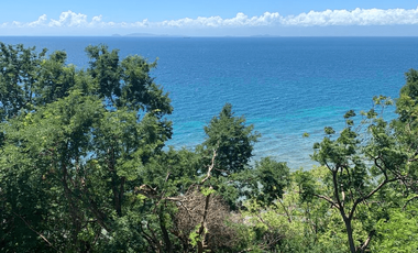 4000.0sqm Resort for Sale in Lobo, Batangas - CS0389078