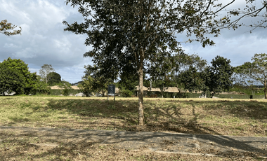 810.0sqm Lot for Sale in Abrio Nuvali, Laguna - RS4553284