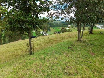 Terreno en Norte de Cayambe