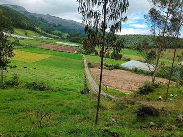 Terreno en Norte de Cayambe