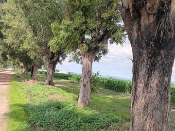 RANCHO EN VENTA EN PEDRO ESCOBEDO, QUERÉTARO.