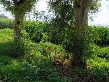 RANCHO EN VENTA EN PEDRO ESCOBEDO, QUERÉTARO.