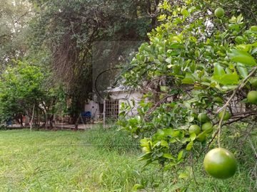 Terrenos en Venta en Sin Colonia