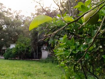Terrenos en Venta en Sin Colonia