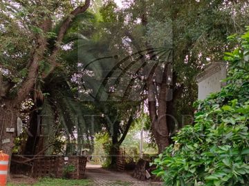 Terrenos en Venta en Sin Colonia