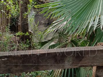 Terrenos en Venta en Sin Colonia