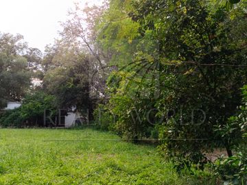 Terrenos en Venta en Sin Colonia