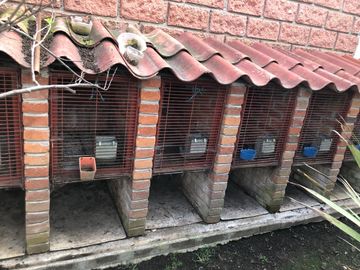 Ranchos en Venta en San Isidro