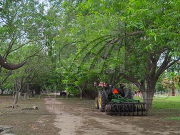 Quintas en Venta en Higueras