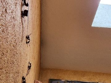 CASA EN VENTA EN ZEREZOTLA CHOLULA CON AMPLIO JARDIN