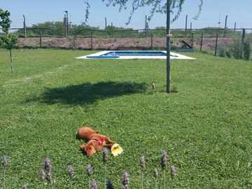 Casa en OPORTUNIDAD ALQUILER SUPER COMPLETO MB en A8 San Sebastián