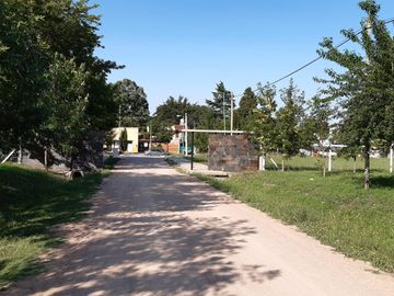 7y602 Bis (La Aurora) PH M.76-L.1-4-7 (UF.13)