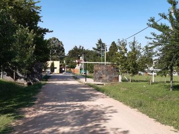 7y602 Bis (La Aurora) PH M.76-L.1-4-7 (UF.10)
