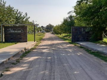 7y602 bis (La Aurora) Terreno en Venta Villa Elvira La Plata