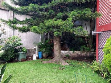 Renta departamento en  Hacienda Tetela - R146