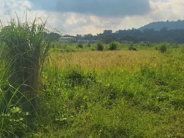 RUSH! HOT SPRING LOT for Sale In Laguna Philippines