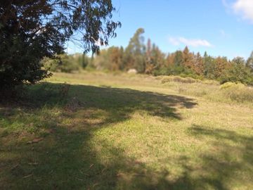 VENTA LOTE 1,5 Ha, PUNTA INDIO.