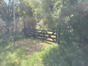 VENTA LOTE 1,5 Ha, PUNTA INDIO.