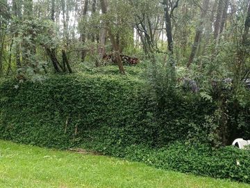 OPORTUNIDAD : EN VENTA QUINTA CON JARDINES, ARBOLES, PARROQUIA DE LA MERCED