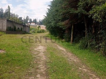 OPORTUNIDAD : EN VENTA QUINTA CON JARDINES, ARBOLES, PARROQUIA DE LA MERCED