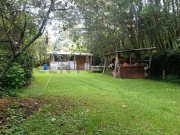 OPORTUNIDAD : EN VENTA QUINTA CON JARDINES, ARBOLES, PARROQUIA DE LA MERCED