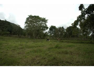 ¡OPORTUNIDAD! Finca 7.9Ha, 350+m río, laguna, bosque y agua cristalina