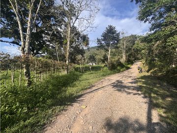 ¡OPORTUNIDAD! Finca 7.9Ha, 350+m río, laguna, bosque y agua cristalina