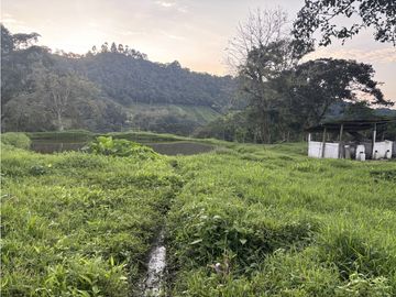 ¡OPORTUNIDAD! Finca 7.9Ha, 350+m río, laguna, bosque y agua cristalina
