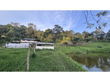 ¡OPORTUNIDAD! Finca 7.9Ha, 350+m río, laguna, bosque y agua cristalina