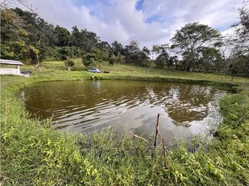 ¡OPORTUNIDAD! Finca 7.9Ha, 350+m río, laguna, bosque y agua cristalina