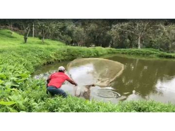¡OPORTUNIDAD! Finca 7.9Ha, 350+m río, laguna, bosque y agua cristalina