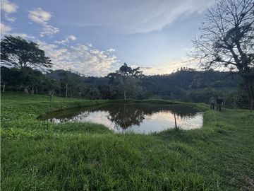 ¡OPORTUNIDAD! Finca 7.9Ha, 350+m río, laguna, bosque y agua cristalina