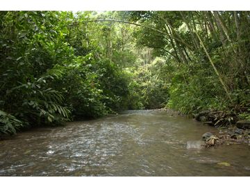 ¡OPORTUNIDAD! Finca 7.9Ha, 350+m río, laguna, bosque y agua cristalina