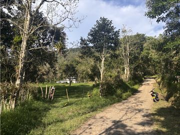 ¡OPORTUNIDAD! Finca 7.9Ha, 350+m río, laguna, bosque y agua cristalina