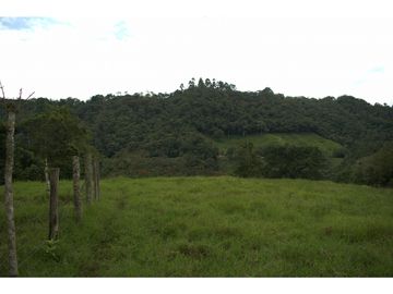 ¡OPORTUNIDAD! Finca 7.9Ha, 350+m río, laguna, bosque y agua cristalina