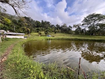 ¡OPORTUNIDAD! Finca 7.9Ha, 350+m río, laguna, bosque y agua cristalina