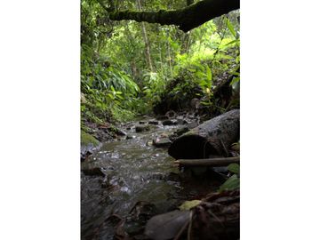 ¡OPORTUNIDAD! Finca 7.9Ha, 350+m río, laguna, bosque y agua cristalina