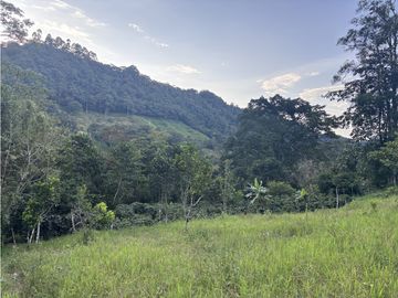 ¡OPORTUNIDAD! Finca 7.9Ha, 350+m río, laguna, bosque y agua cristalina