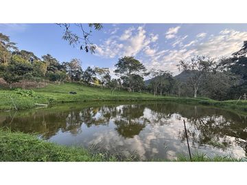 ¡OPORTUNIDAD! Finca 7.9Ha, 350+m río, laguna, bosque y agua cristalina