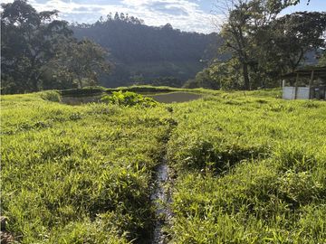 ¡OPORTUNIDAD! Finca 7.9Ha, 350+m río, laguna, bosque y agua cristalina