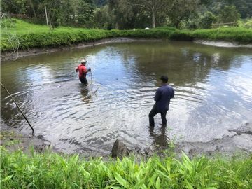 ¡OPORTUNIDAD! Finca 7.9Ha, 350+m río, laguna, bosque y agua cristalina