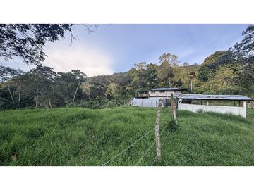 ¡OPORTUNIDAD! Finca 7.9Ha, 350+m río, laguna, bosque y agua cristalina