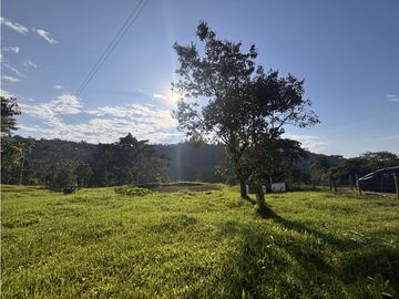 ¡OPORTUNIDAD! Finca 7.9Ha, 350+m río, laguna, bosque y agua cristalina