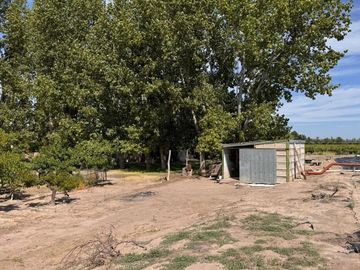 VENTA FINCA EN SAN RAFAEL EN PRODUCCION