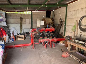 VENTA FINCA EN SAN RAFAEL EN PRODUCCION
