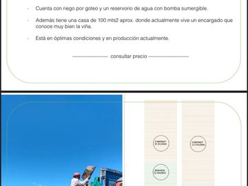 VENTA FINCA EN SAN RAFAEL EN PRODUCCION