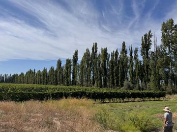 VENTA FINCA EN SAN RAFAEL EN PRODUCCION