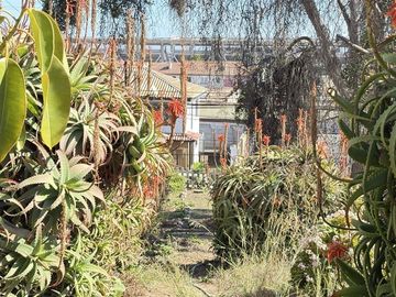 Casa en Venta en Larrain Alcalde / Amunategui / Mercado Sur
