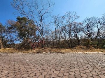 Se Vende Terreno en Rancho San Diego Ixtapan de la Sal, Edo Méx.