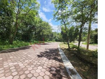 Se Vende Terreno en Rancho San Diego Ixtapan de la Sal, Edo Méx.